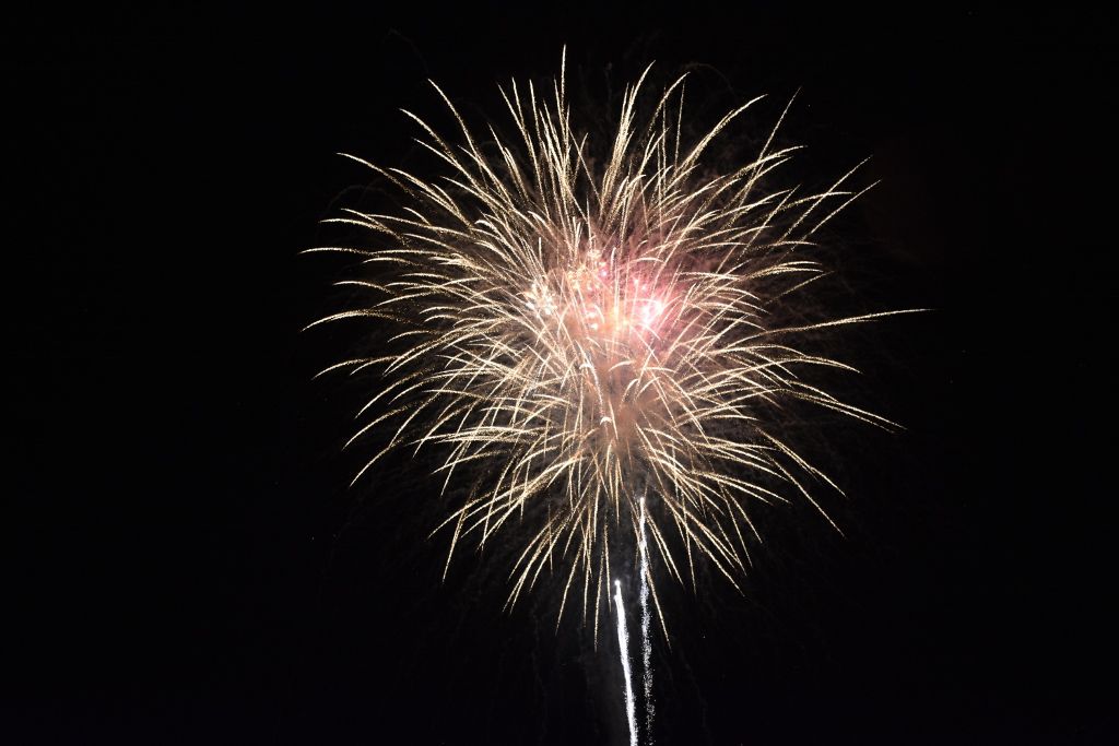 july 4 #2019 089 (1024x683).jpg